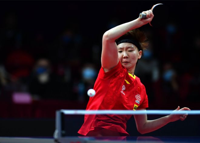 樊振东都曾 樊振东都曾