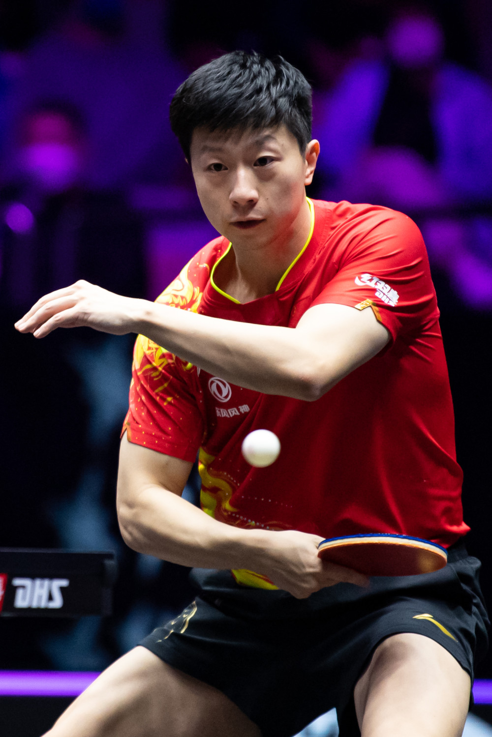 他的加盟都 他的加盟都