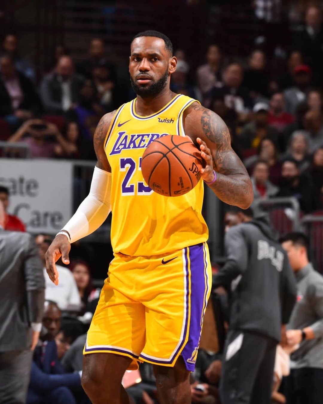 同样提升 同样提升