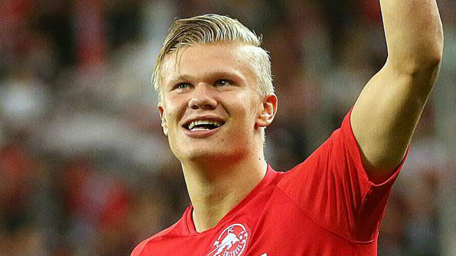 因AI已完 因AI已完