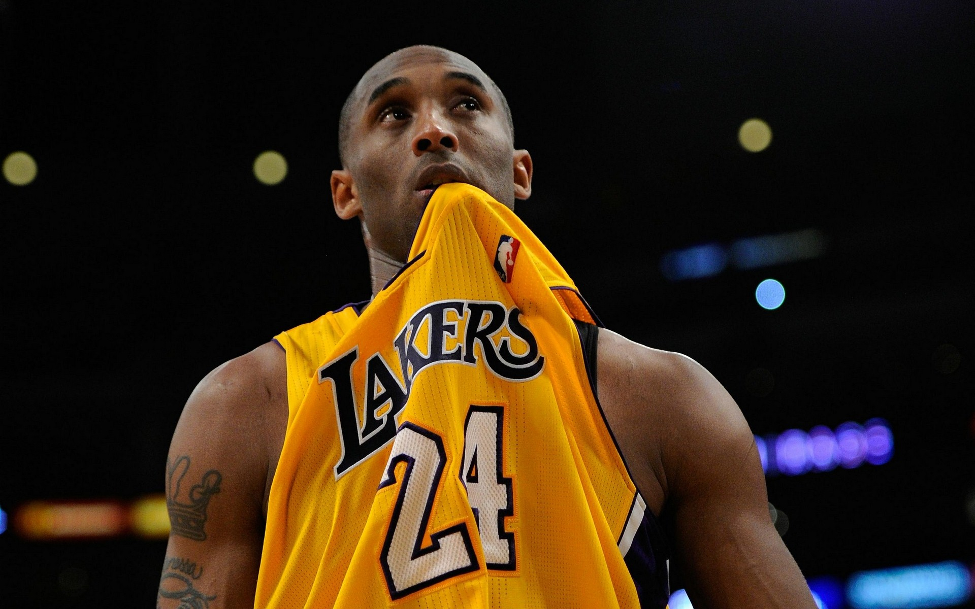 的替代内容 的替代内容